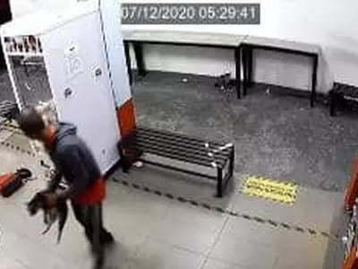 말레이서 고양이 3마리 세탁기에 넣어 익사시킨 용의자 체포