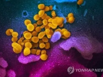 "이종 코로나19 동시 감염, 치명적일 수 있어"