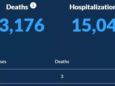 〈조지아 코로나19 현황: 20일〉 확진자 주춤...하루 2,452명