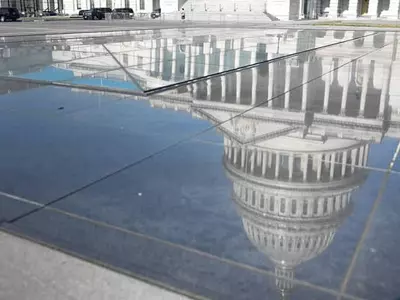 ‘환각버섯’이 뭐길래…“처벌 말라” 주민투표 논란