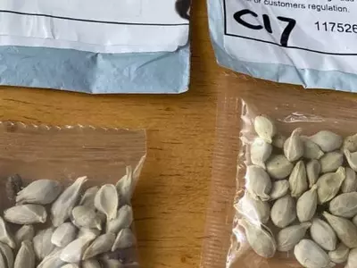 바이오 테러?…중국→미국 배달 '정체불명 씨앗' 주의보