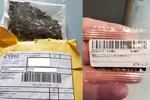 중국 '씨앗' 소포는 일종의 온라인 사기