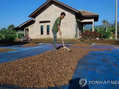 커피 한 잔 가격 올라가나…원두·설탕 선물가격 급등