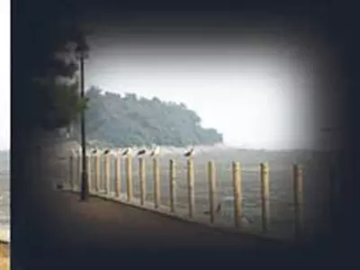 ‘소리 없는 시력 도둑’녹내장, 70%가 정상 안압