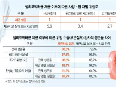 위암 사망·재발 줄이려면 헬리코박터균 잡아라