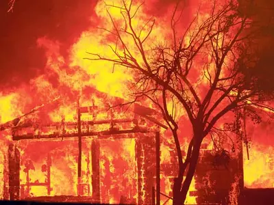 “서울 면적 2배 넘게 불탔다”