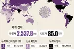 미국 코로나 확진자 600만명 넘어…사망자는 18만3천명