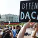 “DACA 축소 정책 중지하라”