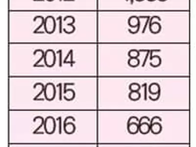 추방재판 한인 급증