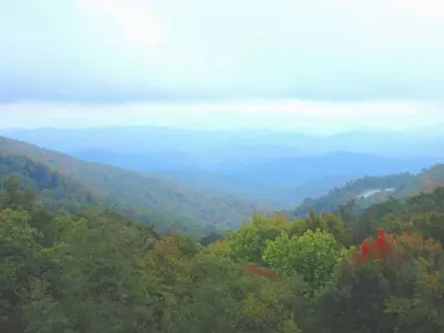 〈플로리다〉 플로리다 낚시회, 23~24일 가을 여행 개최