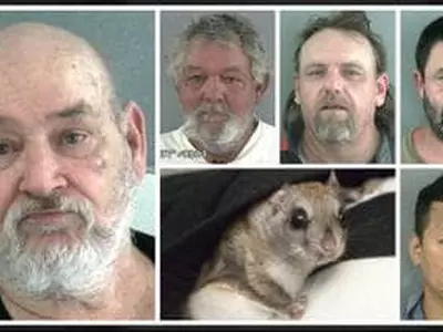 애틀랜타 한인 포함 날다람쥐 한국 밀매단 체포