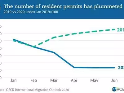 코로나19 대유행으로 선진국 이민 작년의 반토막