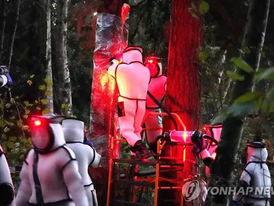 미국서 '살인말벌' 제거 작전…완전무장에 진공청소기 동원