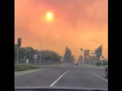 "무작정 집 나왔다"…미국 어바인 산불에 한인들 피난살이