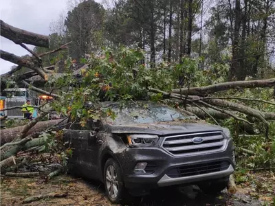 애틀랜타 '제타' 영향 백만 가구 정전… 3명 사망