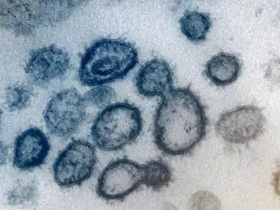 코로나19로 풀턴카운티 2개 학교 폐쇄