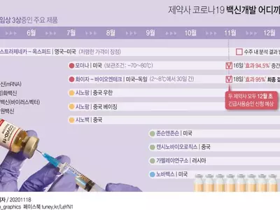 모더나 이어 화이자도 "백신 95% 면역효과"…긴급사용 신청 계획