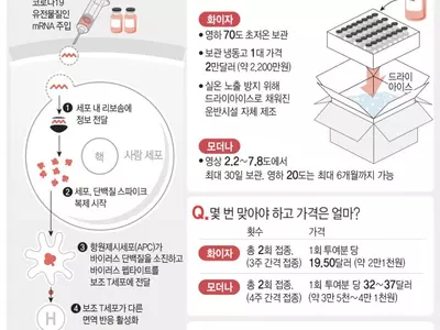 몇번 맞아야 하나, 가격은?…모더나·화이자 백신 A to Z
