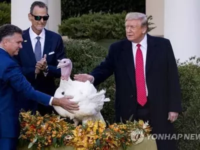 코로나 걱정되는 추수감사절, 백악관 칠면조 사면식은 그대로