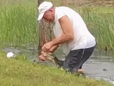 악어에 반려견 물려가자 몸던져 구한 70대 미국 견주