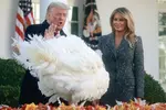 트럼프, 백악관서 칠면조 사면식