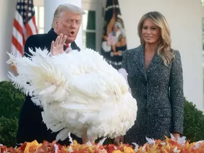 트럼프, 백악관서 칠면조 사면식