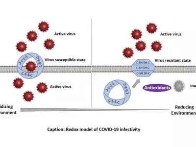 "고령자·기저질환자 코로나에 약한 건 활성산소 때문"