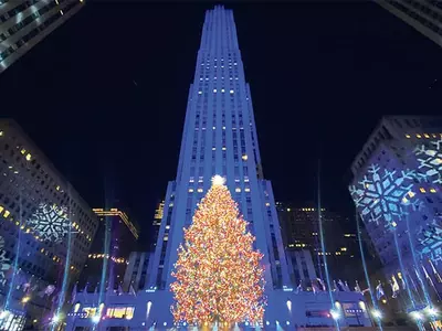 “팬데믹 빨리 끝나기를…” 크리스마스 트리 점등