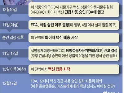 미, 화이자 백신 긴급사용 사실상 승인…이르면 내주초 접종