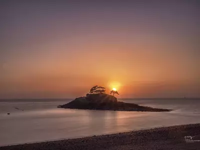 아듀! 2020! 팬데믹은 가고 정상생활 오라!