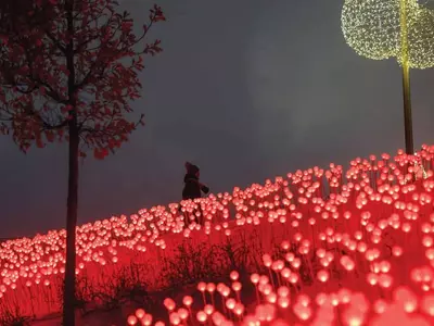 화려한 불빛 장식 속 저무는 한 해