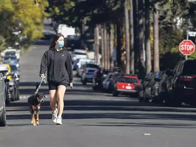 “애완견 찾아주면 50만 달러 드려요”