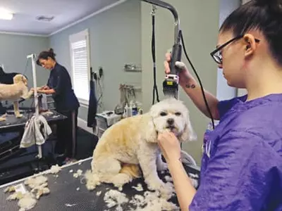 코로나19발 불황, 투잡스 ‘부업’으로 견뎌낸다