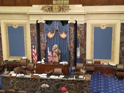 바이킹 복장 시위 남성 '안티파' 아닌 트럼프 추종자