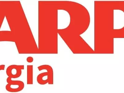 시니어는 결선에서 누구를 선택할까