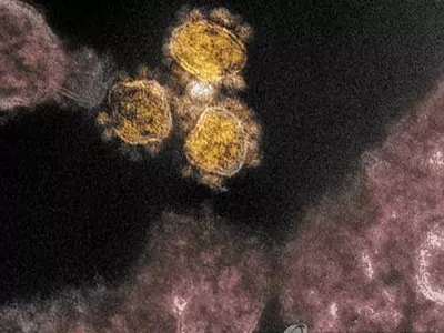 백악관 코로나TF "전염성 강한 미국발 변이 바이러스 있을지도"