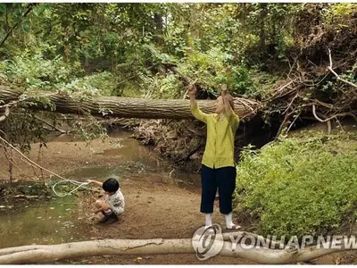 '미리 보는 아카데미' 미 영화연구소 10대 영화에 미나리 선정