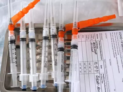 단계 무시 교사 접종한 병원 백신공급 중단