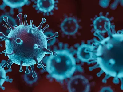 영국 변이바이러스, 조지아 9개 카운티서 발견