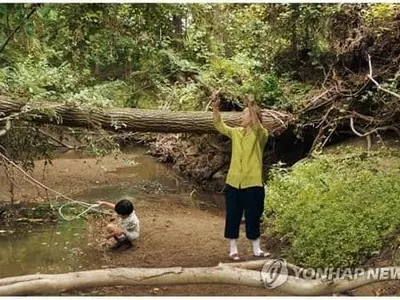 '미나리' 골든글로브 외국어영화상 후보 올라…기생충 계보 잇나