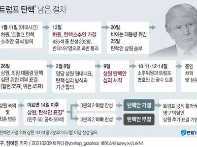 막오른 트럼프 탄핵심판