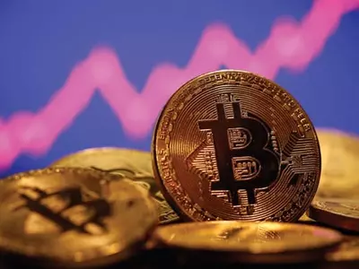 “비트코인 가격, 변동성 줄어야 지속 가능”