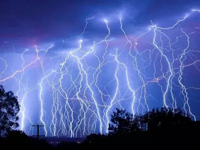 세계에서 벼락 가장 많은 브라질…10년간 소 3천마리 죽어