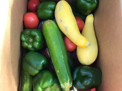 "야채박스 나눠 드려요"