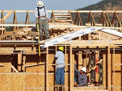 미국 목재가격 폭등 주택건설 ‘빨간불’