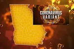전염성 강한 코로나 변이 조지아 장악