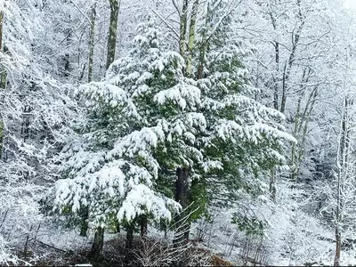 4월 봄인데… 눈 내린 뉴욕