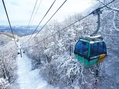 5월의 폭설… 강원도 산간‘ 눈꽃’ 장관