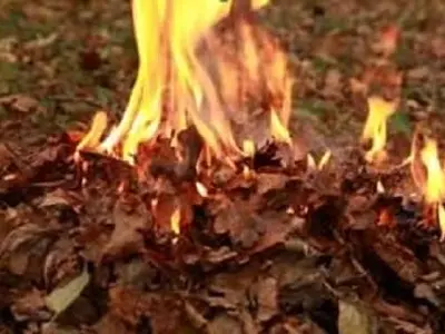 귀넷 9월말까지 야외 소각 금지