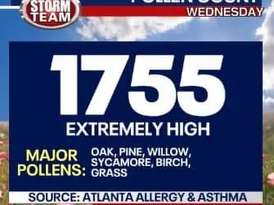 애틀랜타 ‘꽃가루’ 올해 들어 최고치